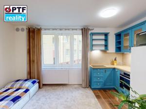 Pronájem bytu 1+kk, Plzeň, Čechova, 23 m2
