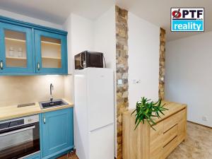 Pronájem bytu 1+kk, Plzeň, Čechova, 23 m2