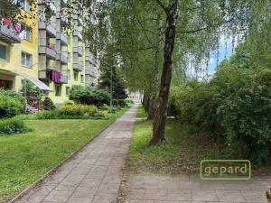 Pronájem bytu 3+1, Olomouc, Jílová, 72 m2