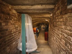 Prodej vinného sklepa, Chvalovice, 20 m2