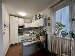 Pronájem bytu 2+kk, Hodonín, Čajkovského, 52 m2