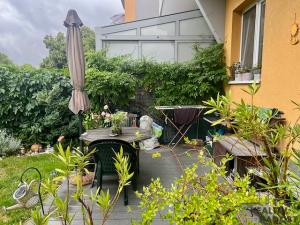 Pronájem bytu 2+kk, Hodonín, Čajkovského, 52 m2