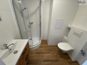 Pronájem bytu 2+kk, Most, tř. Budovatelů, 40 m2