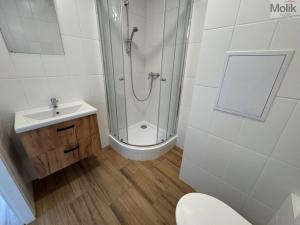 Pronájem bytu 2+kk, Most, tř. Budovatelů, 40 m2