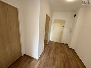 Pronájem bytu 2+kk, Most, tř. Budovatelů, 40 m2