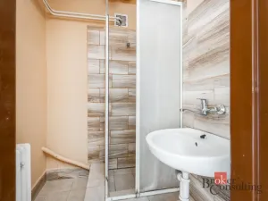 Prodej rodinného domu, Smidary - Chotělice, 150 m2