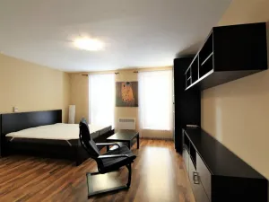 Pronájem bytu 1+kk, Praha - Karlín, Hybešova, 36 m2