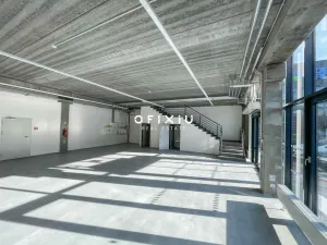 Pronájem obchodního prostoru, Brno - Štýřice, Heršpická, 505 m2