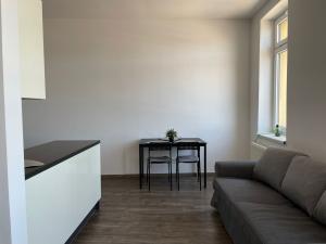 Pronájem bytu 1+kk, Náchod, Na Letné, 47 m2