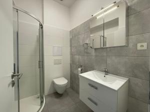 Pronájem bytu 1+kk, Náchod, Na Letné, 47 m2
