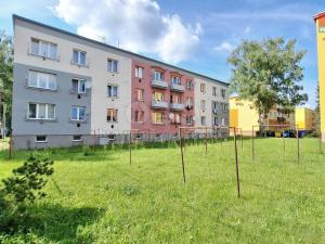 Pronájem bytu 1+1, Týniště nad Orlicí, Družstevní, 39 m2