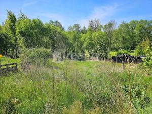 Prodej zemědělské usedlosti, Dolní Cerekev, 370 m2
