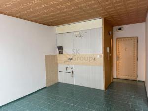 Prodej bytu 1+1, Horní Slavkov, U Lesoparku, 33 m2