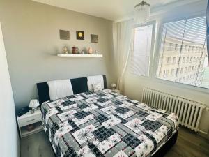 Prodej bytu 3+1, Teplice - Trnovany, Zemská, 55 m2