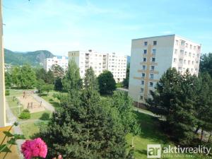 Prodej bytu 1+1, Ústí nad Labem - Mojžíř, Peškova, 35 m2