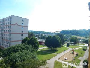 Prodej bytu 1+1, Ústí nad Labem - Mojžíř, Peškova, 35 m2