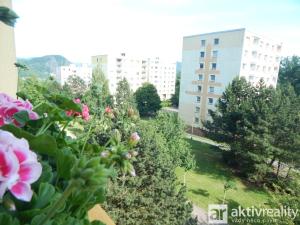 Prodej bytu 1+1, Ústí nad Labem - Mojžíř, Peškova, 35 m2