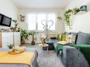Pronájem bytu 1+1, České Budějovice - České Budějovice 2, Ant. Barcala, 31 m2