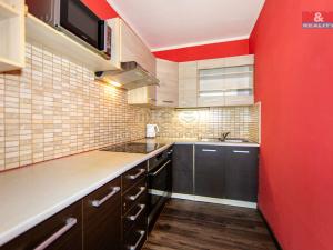 Prodej bytu 2+kk, Most, Františka Malíka, 40 m2