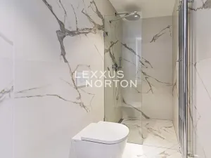 Pronájem bytu 2+kk, Praha - Vinohrady, Mánesova, 75 m2