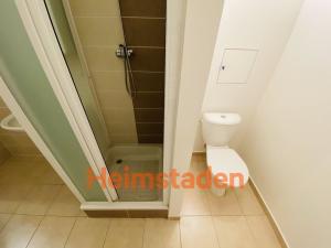 Pronájem bytu 1+kk, Ostrava - Poruba, 17. listopadu, 36 m2
