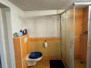 Prodej chaty, Letovice - Kněževísko, 100 m2