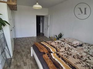 Pronájem bytu 2+kk, České Budějovice, Kubatova, 50 m2