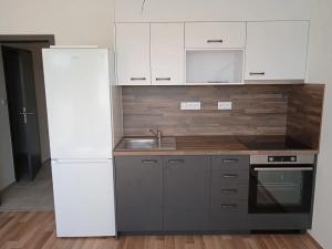 Pronájem bytu 1+kk, Brno, Chvalovka, 34 m2