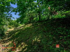 Prodej chaty, Břasy - Darová, 72 m2