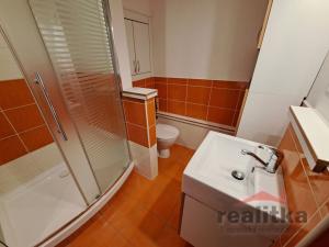 Pronájem bytu 1+1, Opava - Kateřinky, Holasická, 36 m2