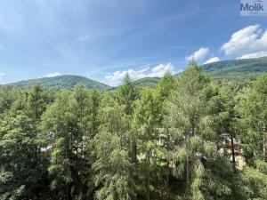 Prodej bytu 2+1, Osek, Hrdlovská, 63 m2