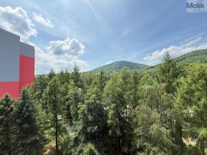 Prodej bytu 2+1, Osek, Hrdlovská, 63 m2