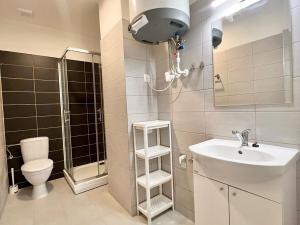 Pronájem bytu 2+1, Brno, Hybešova, 36 m2