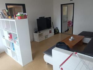 Prodej bytu 3+1, Ostrava - Bělský Les, Zdeňka Vavříka, 81 m2