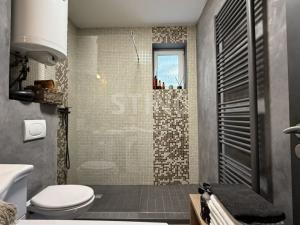 Prodej bytu 2+kk, Dolní Moravice, 40 m2