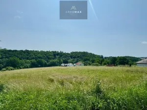 Prodej pozemku pro bydlení, Bílovec, 19605 m2