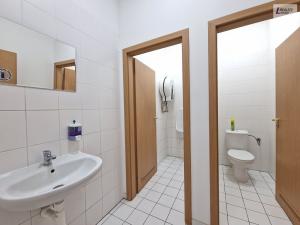 Pronájem obchodního prostoru, Příbram - Příbram V-Zdaboř, Brodská, 954 m2