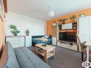 Prodej bytu 1+1, Pardubice, Prodloužená, 1500 m2
