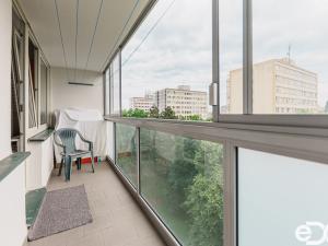 Prodej bytu 1+1, Pardubice, Prodloužená, 1500 m2
