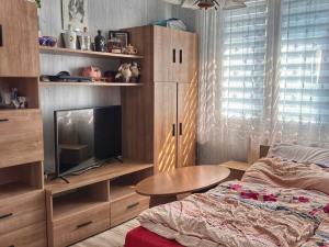 Prodej bytu 2+1, Tachov, Bělojarská, 53 m2