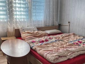 Prodej bytu 2+1, Tachov, Bělojarská, 53 m2