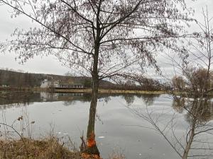 Prodej komerčního pozemku, Napajedla, 8000 m2