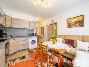 Prodej bytu 1+1, Kraslice, B. Smetany, 35 m2