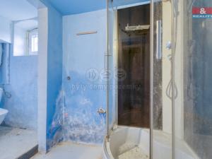 Prodej rodinného domu, Nová Ves - Louka, 120 m2