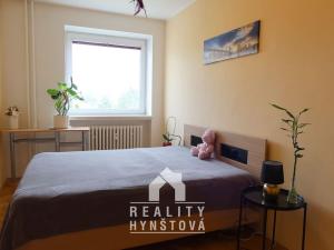 Pronájem bytu 2+1, Blansko, Dvorská, 49 m2