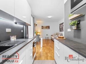 Pronájem bytu 2+kk, Mladá Boleslav - Mladá Boleslav II, Na Radouči, 42 m2