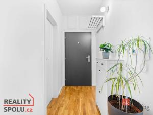 Pronájem bytu 2+kk, Mladá Boleslav - Mladá Boleslav II, Na Radouči, 42 m2
