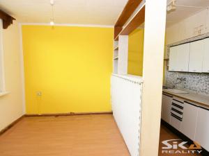Prodej bytu 1+1, Litvínov - Horní Litvínov, Čapkova, 37 m2
