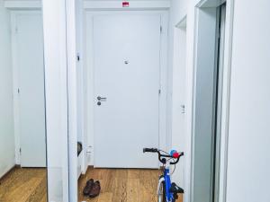 Pronájem bytu 3+kk, Plzeň, Šafaříkovy sady, 106 m2