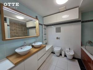 Pronájem bytu 3+kk, Plzeň, Šafaříkovy sady, 106 m2